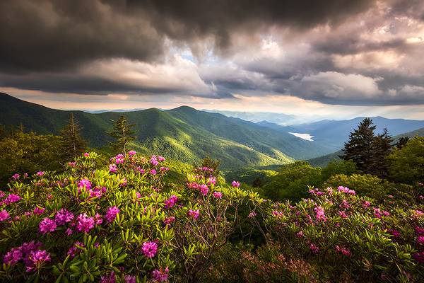 Blue Ridge Parkway North Carolina Mountain Landscape Asheville NC