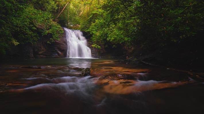 Swallow Creek Wildlife Management Area