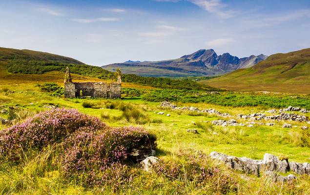 Heather at the Manse