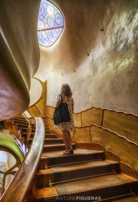 Entering to Wonderland