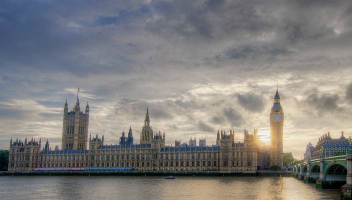 The Political Institution...