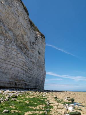 Côte d'Albâtre