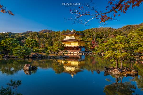 Kinkaku-ji #explore