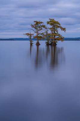 Reelfoot Blues [EXPLORED]