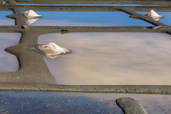 Salt marshes