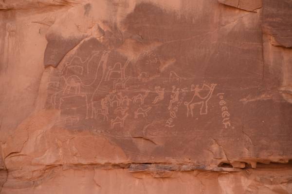 Petroglifi nel Wadi Rum