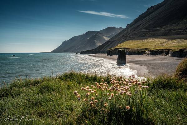 Lækjavik (Iceland)