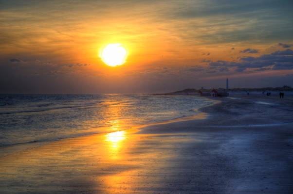 Seaside Spring