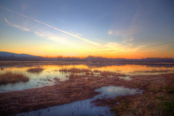 When night falls over the moor...