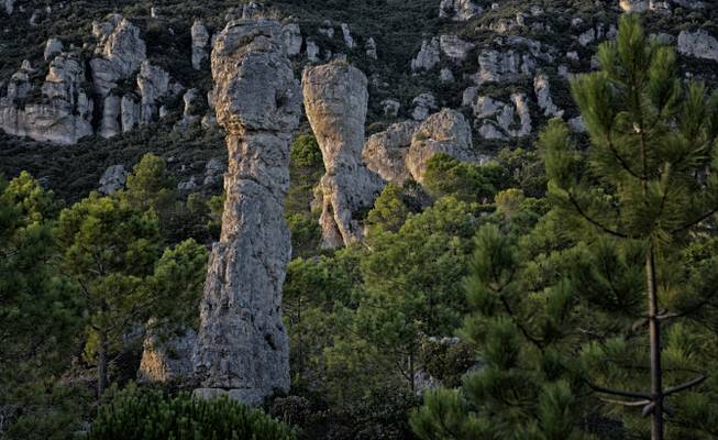 France - Causse Noir - chaos de Montpellier-le-Vieux ou Cité de Pierres