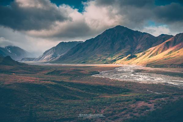 Denali National Park