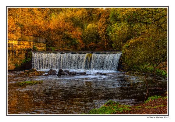 Reddish Vale Country Park