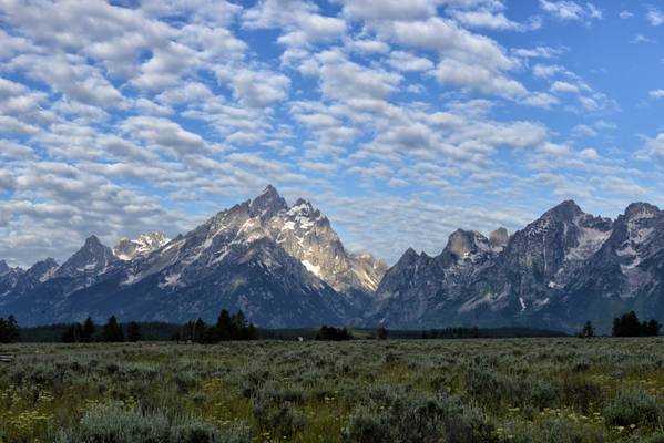 USA - Wyoming -  Grand Téton National Park