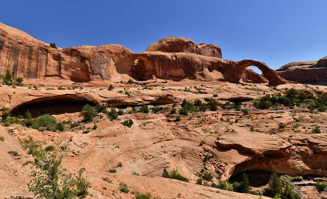 USA - Utah - Bowtie et Corona Arches