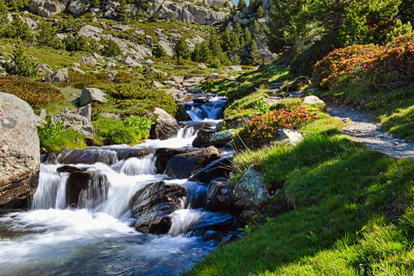 France - Pyrénées - autour du lac des Bouillouses