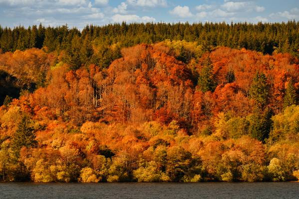 France - Auvergne - lac de Guéry