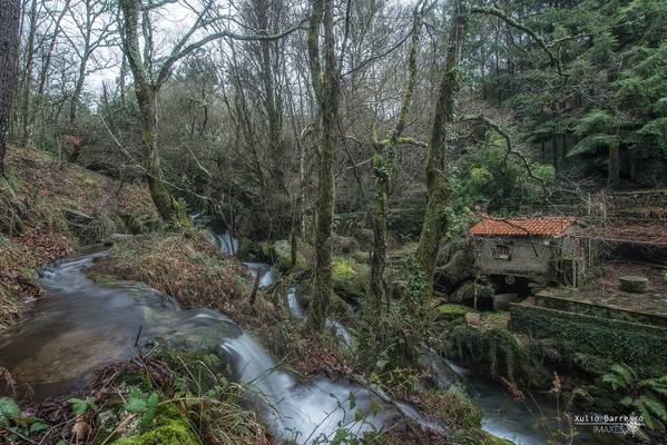 Muíño no Río Sesín II