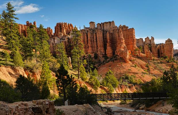 USA -Utah - Bryce Canyon - Mossy Cave