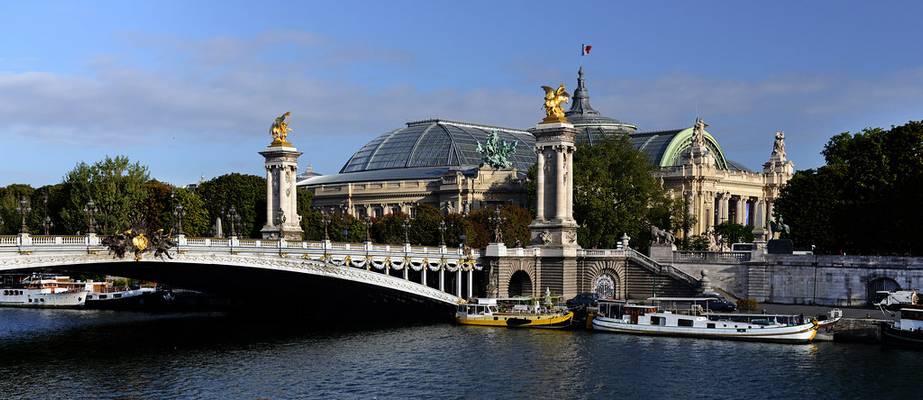 France - Paris - le pont Alexandre III et le Grand Palais