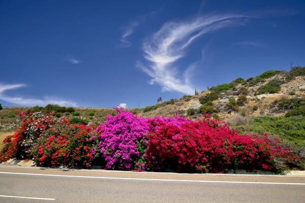 Road B6 from Limassol to Paphos - Cyprus.