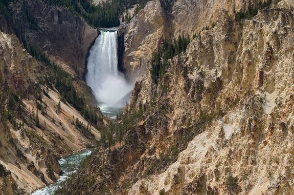 Lower Falls in the Grand Canyon of Yellowstone