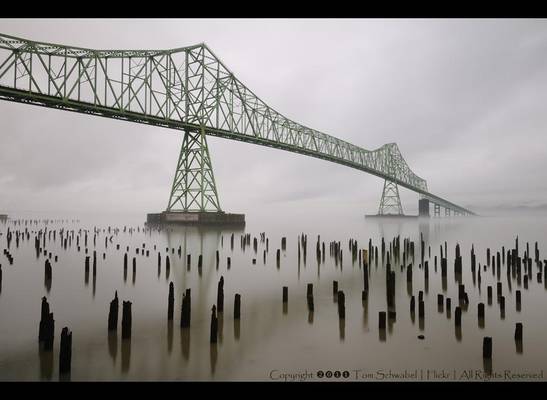 Bridge into the Fog