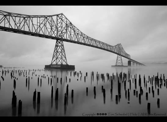 Bridge into the Fog [Black and White]
