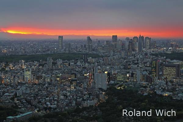 Tokyo - Shinjuku at Sunset