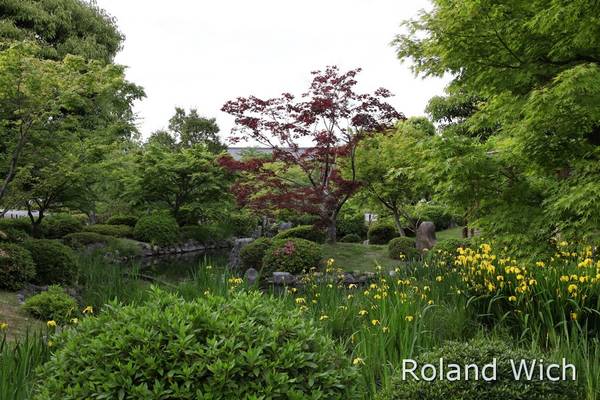 Kyoto - To-ji Temple