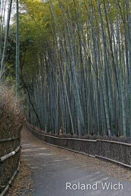 Kyoto - Arashiyama Bamboo Forest