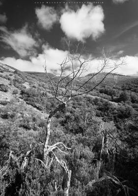 Fuente el Cobre | Montaña Palentina | 2018