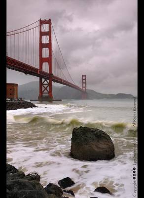 The Wettest Day... Ever!