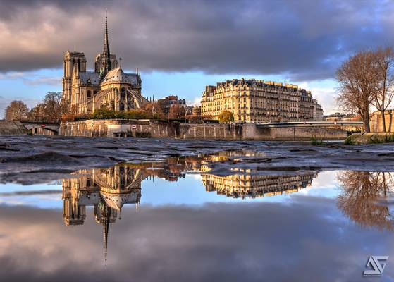 Notre-Dame / Puddle reflection