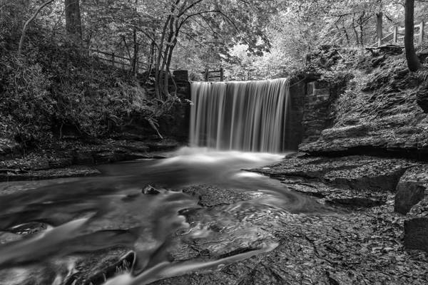 Nant Mill Woods