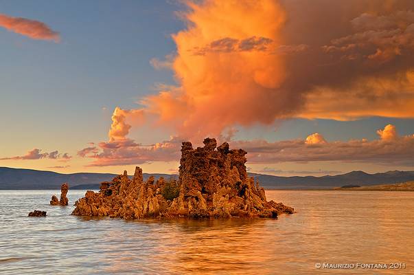 Monolake orange passion