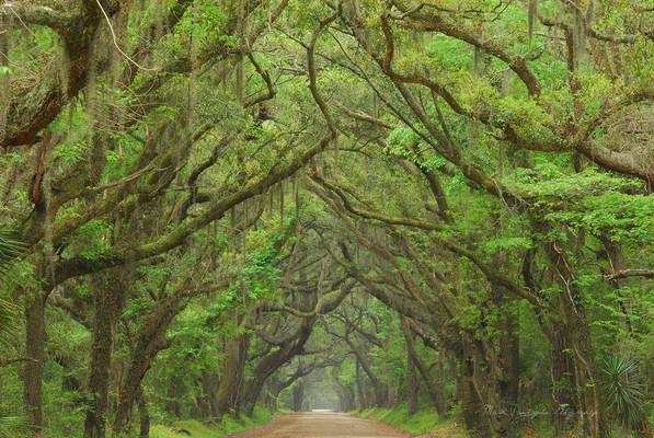 Botany Bay Road