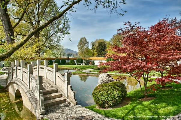 In a Chinese Temple Garden #5