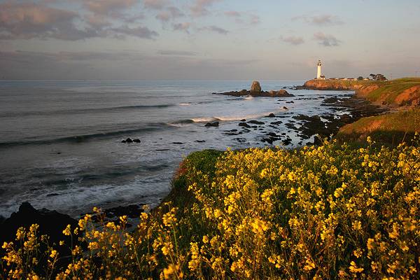 Pigeon Point after sunrise II