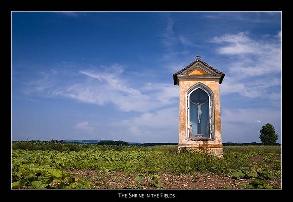 The Shrine in the Fields - 03