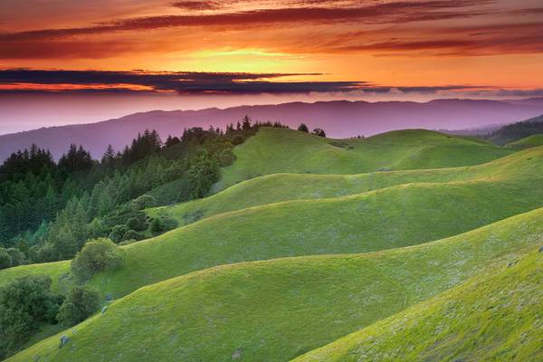 Faultlines - Mt. Tamalpais, Marin County, California