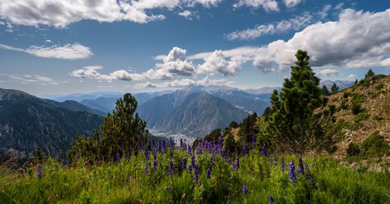 Madriu Valley, Pyrenees