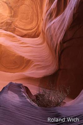 Arizona - Lower Antelope Canyon
