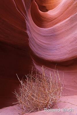 Arizona - Lower Antelope Canyon