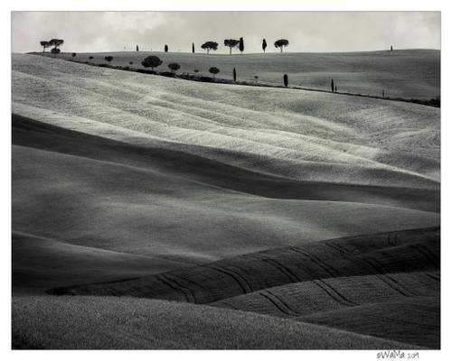 Shapes of Tuscany