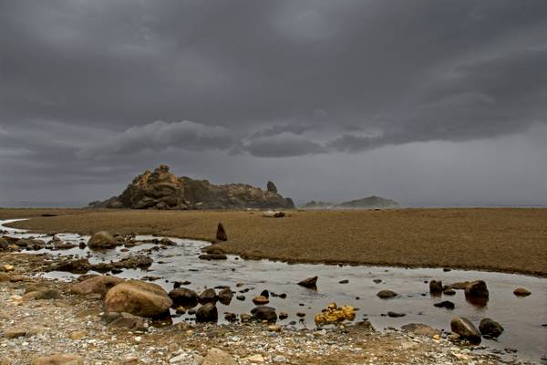 Fogarty Beach, Oregon