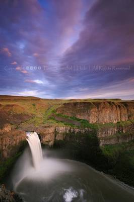 Palouse in Purple