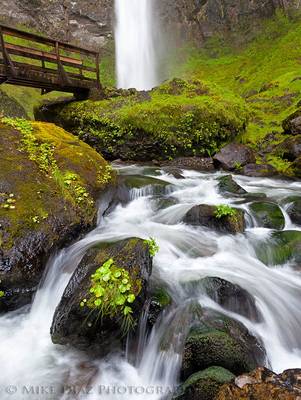 Elowah Falls
