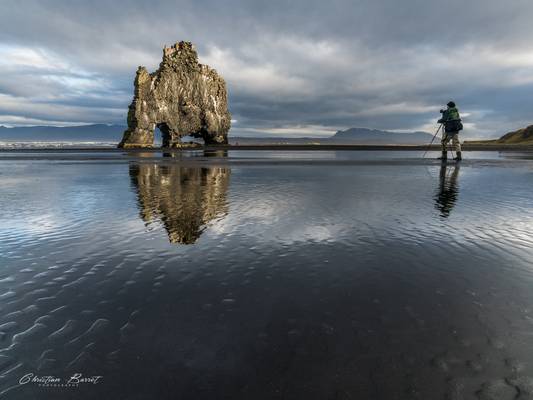 Iceland 2017 - Hvítserkur