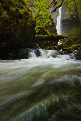 Running With The Devil