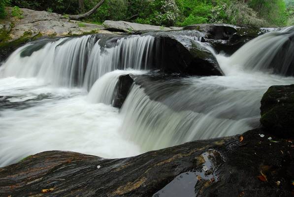 The Wild & Scenic Chattooga River